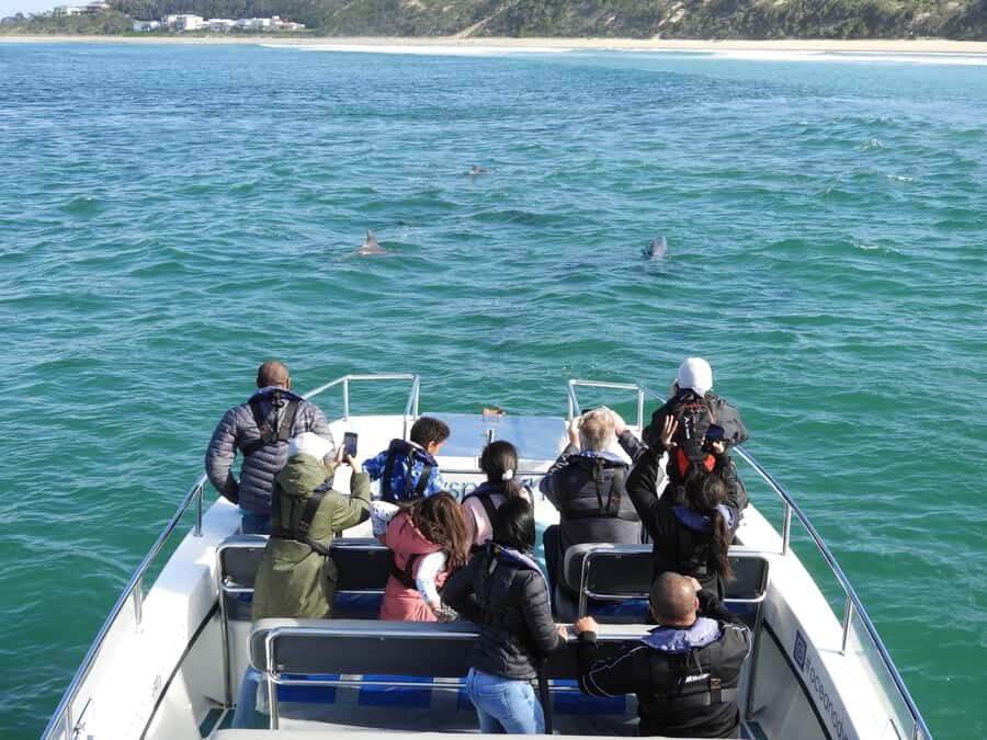 Knysna: Marine Life & Garden Route Coastline Tour - The 20-minute safety briefing: Not exciting, but worth it