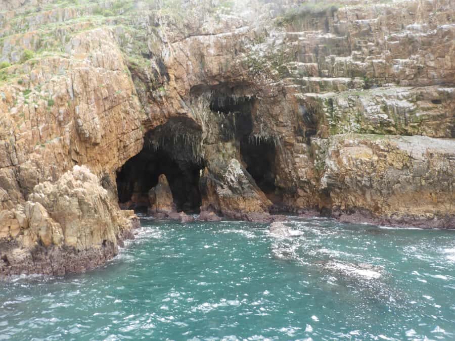 Knysna: Marine Life & Garden Route Coastline Tour - Small-group guiding: why it changes what you learn