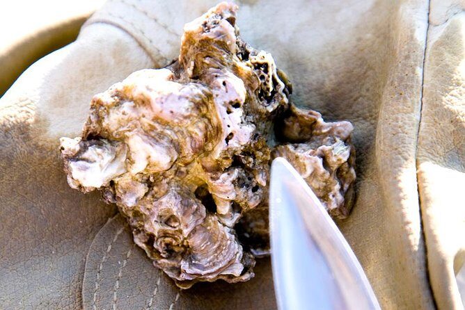 Knysna Oyster Tour - What the Cruise Looks Like: Knysna Heads and the Lagoon View
