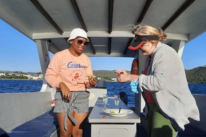 Knysna Oyster Tour - Who Should Book This Knysna Oyster Tour (and Who Might Hesitate)