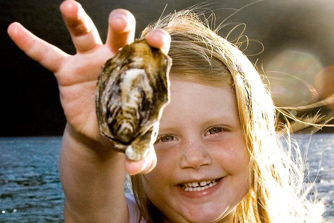 Knysna Oyster Tour - Getting There: Thesen Island, Mobile Ticket, and a Short Ride Plan