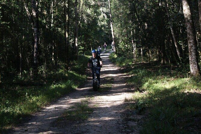 Knysna Scootour - Stop 1: Knysna Forests downhill with the Garden Route National Park feel