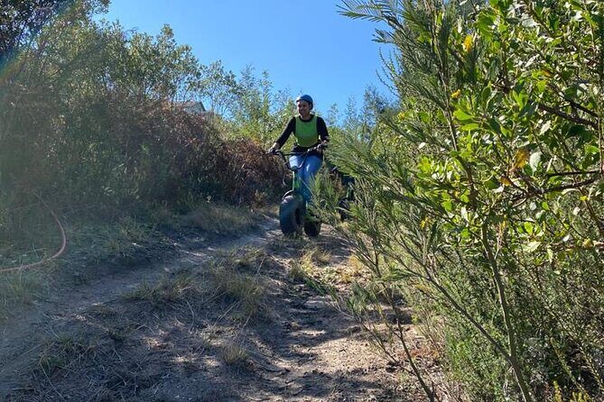 Knysna Scootours - Family-friendly rules for adults, kids, and shared scooters