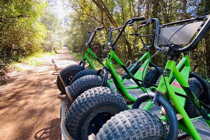 Knysna Scootours - A private tour means your group gets the real attention