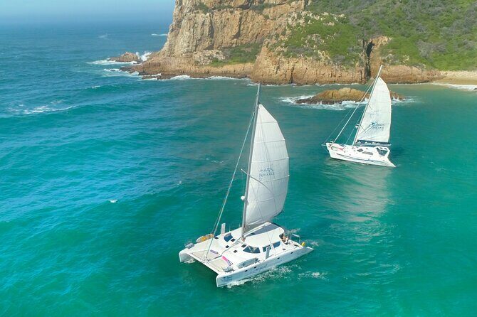 Knysna Sunset Sailing Cruise with captain's steak Braai & Bubbly - What You’ll Actually Get Out of This Cruise