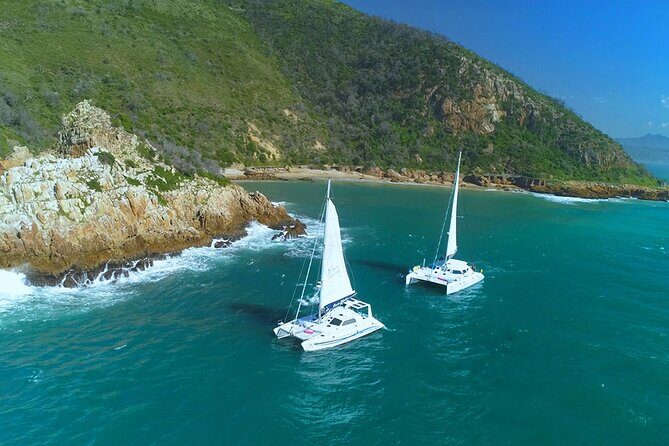 Knysna Sunset Sailing Cruise with captain's steak Braai & Bubbly - The Sunset Braai/BBQ and Captain’s Steak Feel