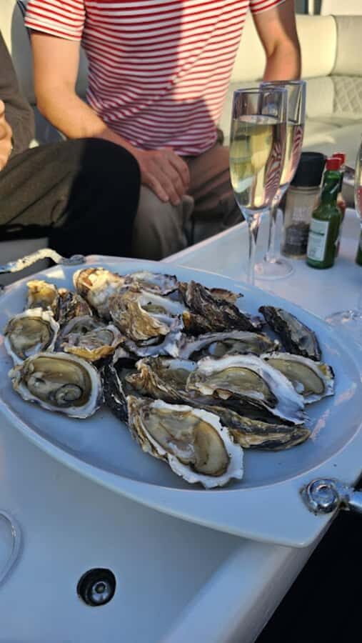 Knysna: Wine & Oyster Luxury Lounger Sunset Cruise - Onboard setup: what comfort looks like on the Knysna water