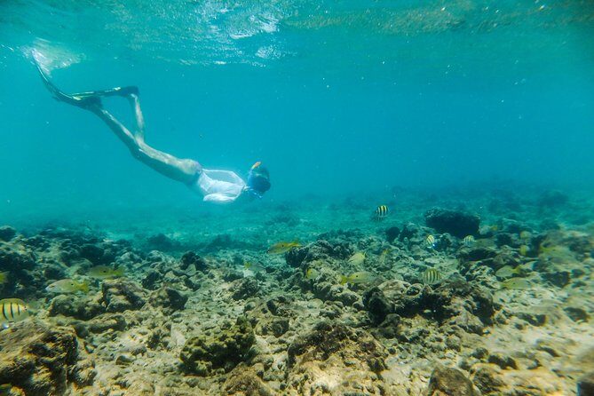 Kosi Bay Mouth Experience - Kayaking, Snorkeling, Fish Trap Tour and Fish braai - Thonga fish kraal tour: culture with practical meaning
