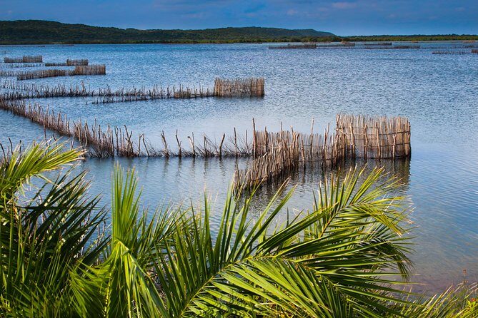 Kosi Bay Mouth Experience - Kayaking, Snorkeling, Fish Trap Tour and Fish braai - Snorkeling in the Kosi aquarium: what you’ll actually see