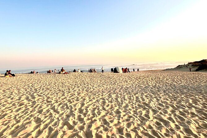 Kragga Kamma Game Drive and Scenic Coastal Tour in Port Elizabeth - Your Morning Starts in Port Elizabeth: What This Day Is Really Like