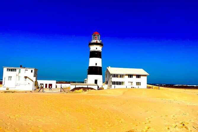 Kragga Kamma Game Drive and Scenic Coastal Tour in Port Elizabeth - Included Extras That Actually Matter for Comfort