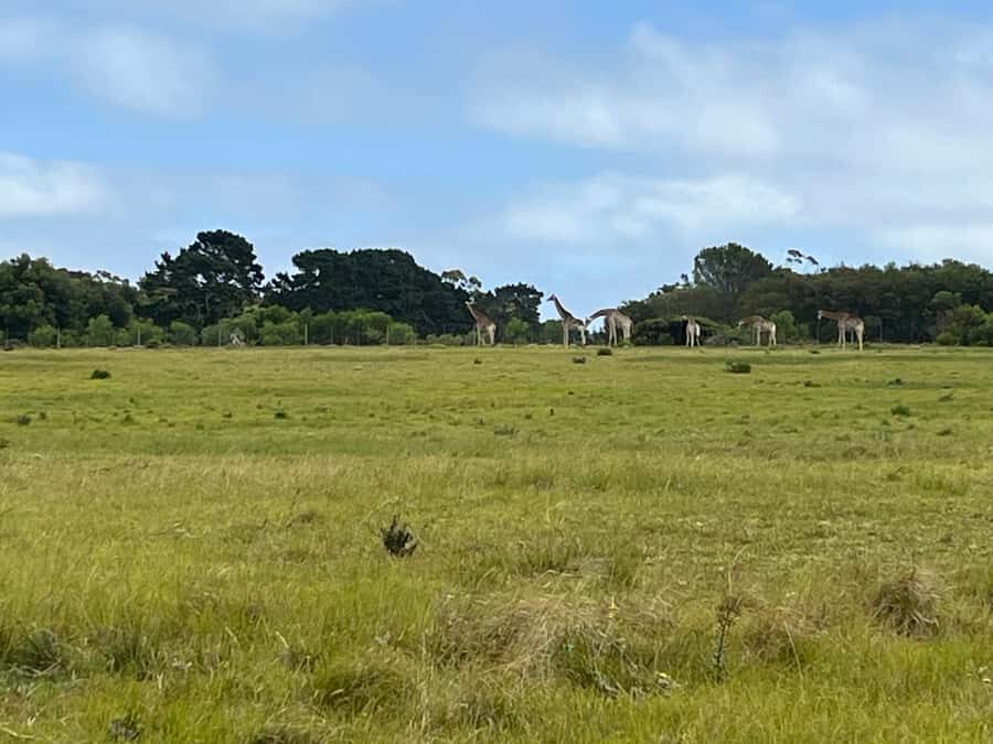 Kragga Kamma Game Park - Key highlights worth knowing