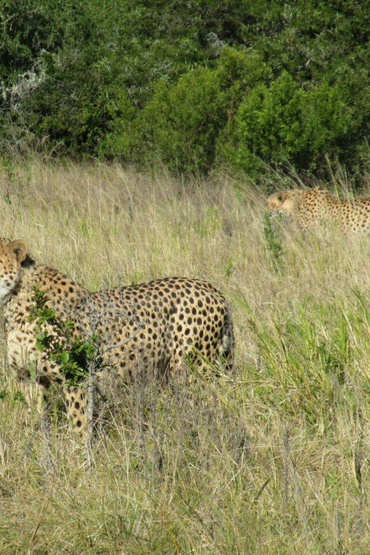 Kragga Kamma Game Park - Should you book Kragga Kamma Game Park?