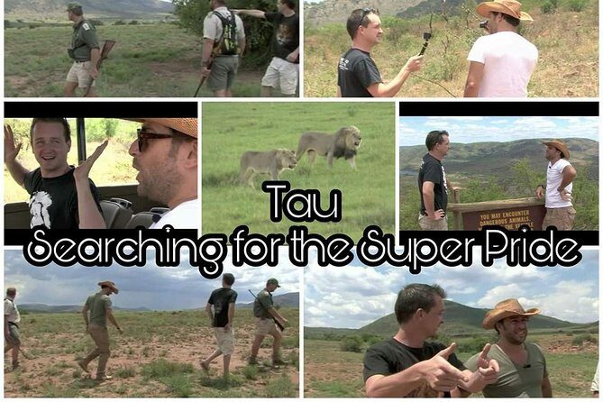 Kruger Lion Expedition with the Little Lionman Steve Kelly - The 05:30 Johannesburg Transfer That Sets the Tempo