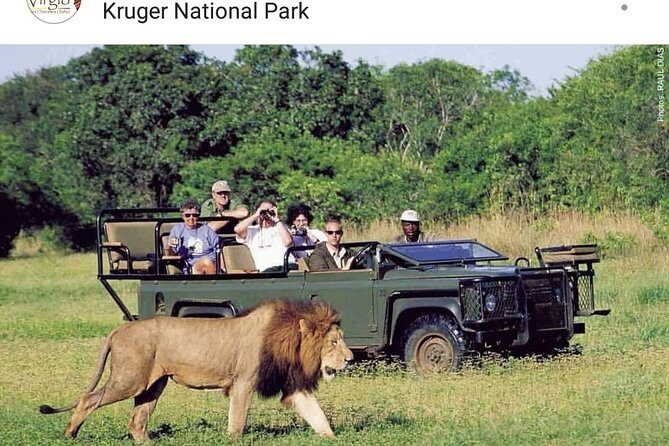 Kruger National Park 2 Days 1 Night Magical Safari from Johannesburg Private - Key Highlights You Should Care About