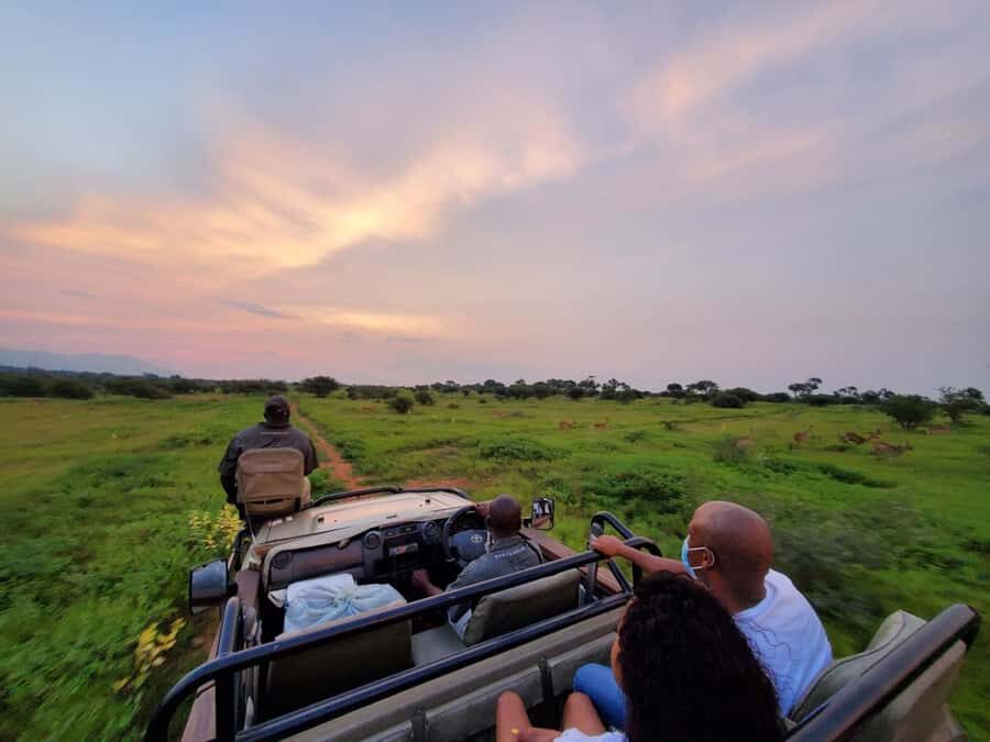 Kruger National Park: 3 Day Safari Tour - Getting to Kruger from Johannesburg: the long drive that sets the tone
