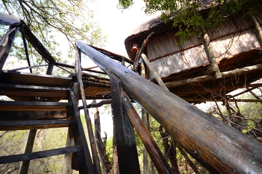 Kruger National Park: 3-Day Safari Tour and Treehouse Stay - Key Things I’d Plan Around (Before You Book)