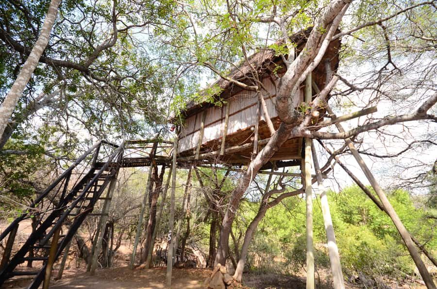 Kruger National Park: 3-Day Safari Tour and Treehouse Stay - Guides, Staff, and the Human Side of the Safari
