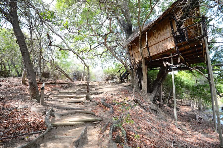 Kruger National Park: 3-Day Safari Tour and Treehouse Stay - Kruger in 3 Days: The Shape of Your Safari