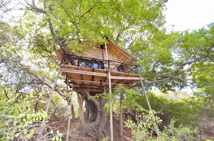 Kruger National Park: 3-Day Safari Tour and Treehouse Stay - Day 2: Open-Sided Kruger Gameviewer in Orpen and a Treehouse-Style Stay