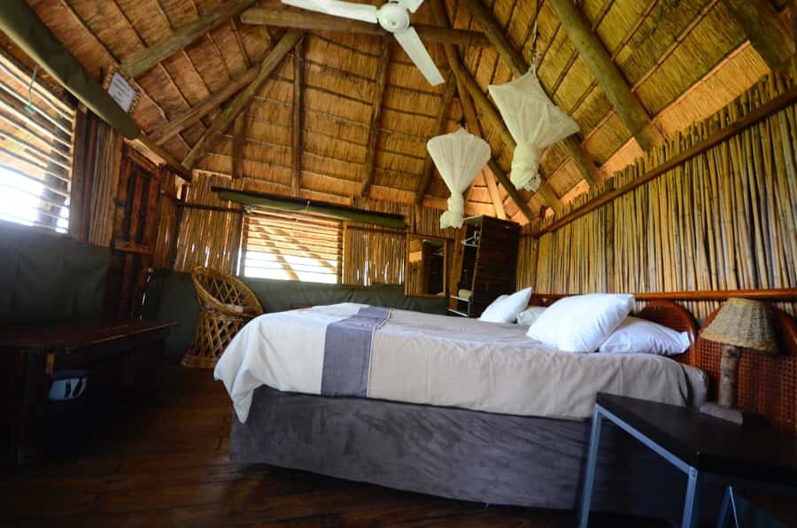 Kruger National Park: 3-Day Safari Tour and Treehouse Stay - Lodging Reality Check: Treehouse Promise vs. Actual Comfort