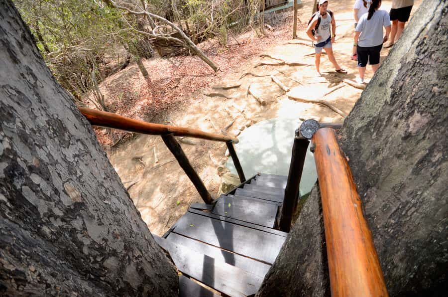 Kruger National Park: 3-Day Safari Tour and Treehouse Stay - Food, Drinks, and the Practical Rhythm of the Days