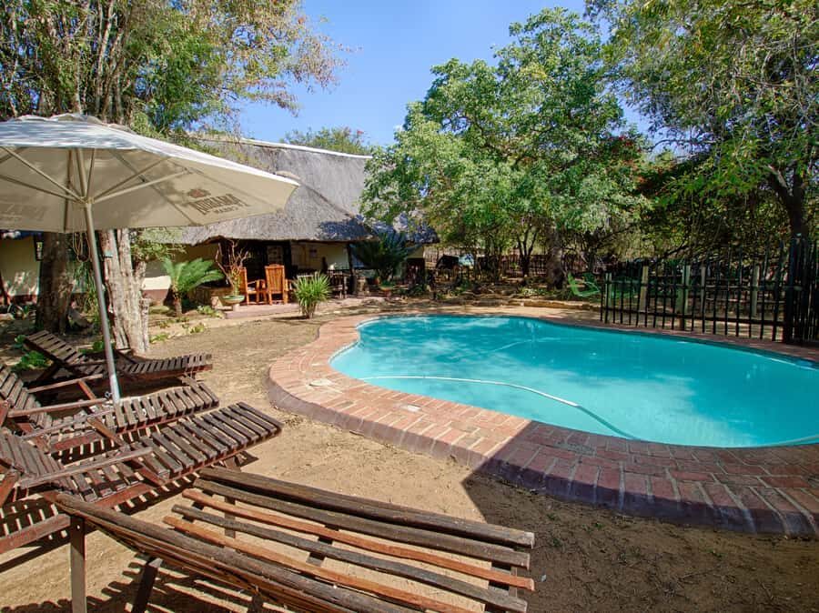 Kruger National Park: 3-Day Safari Tour and Treehouse Stay - Price and Value: Is $890 Fair for This 3-Day Setup?