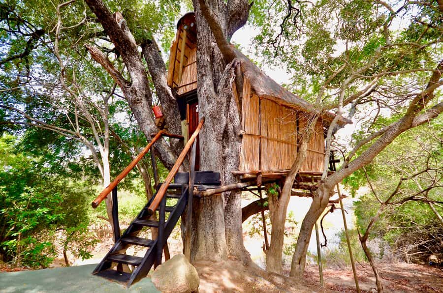 Kruger National Park: 3-Day Safari Tour and Treehouse Stay - Day 1: Johannesburg Pickup, Balule Sunset Drive, and Marula Tree Boma Night