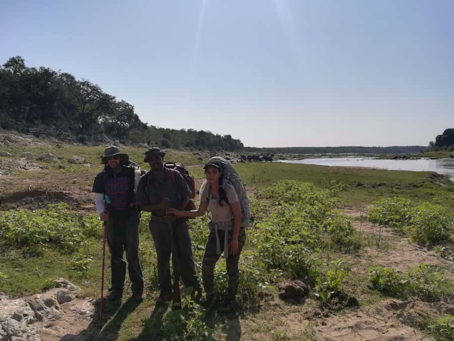 Kruger National Park: 3-Hour Walking Safari - Why a 3-Hour Walk Beats the Usual Kruger Drive