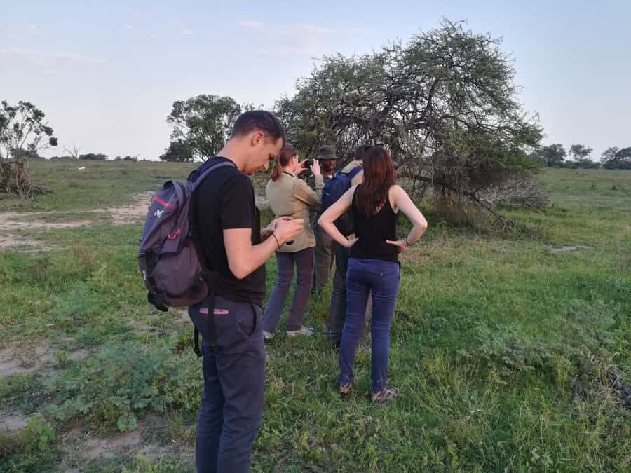 Kruger National Park: 3-Hour Walking Safari - Learning Animal Signs Without Chasing Them