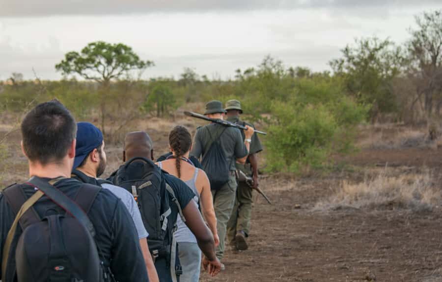Kruger National Park: 3-Hour Walking Safari - Small Group (Up to 8): The Pace Is the Point