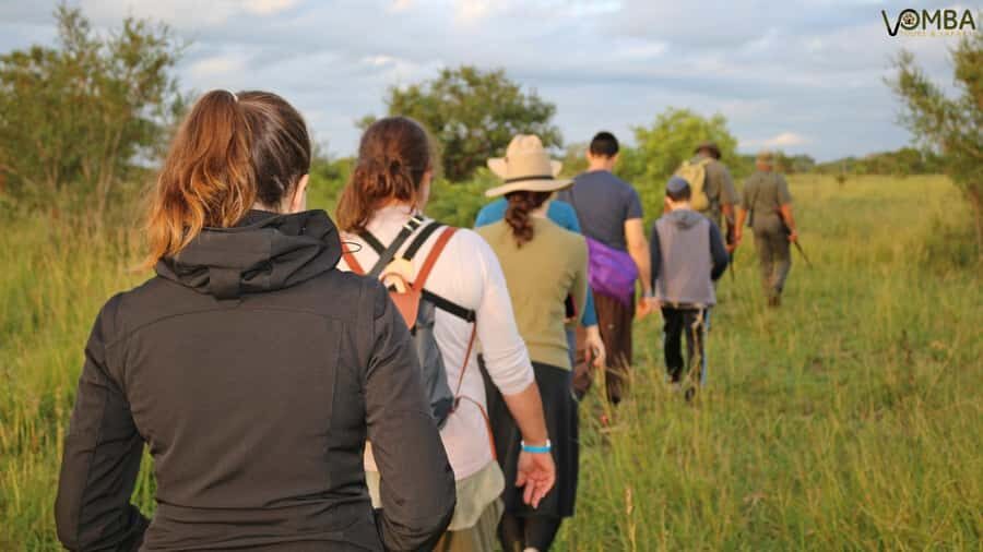 Kruger National Park: 3-Hour Walking Safari - Price and Value: Is $138 Worth It?