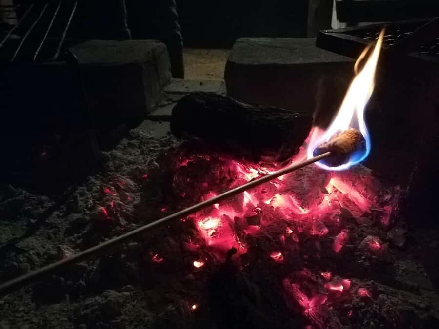 Kruger National Park - 4 Day Safari Tour - Day 4: bush walk on the reserve, then back to Hoedspruit and OR Tambo