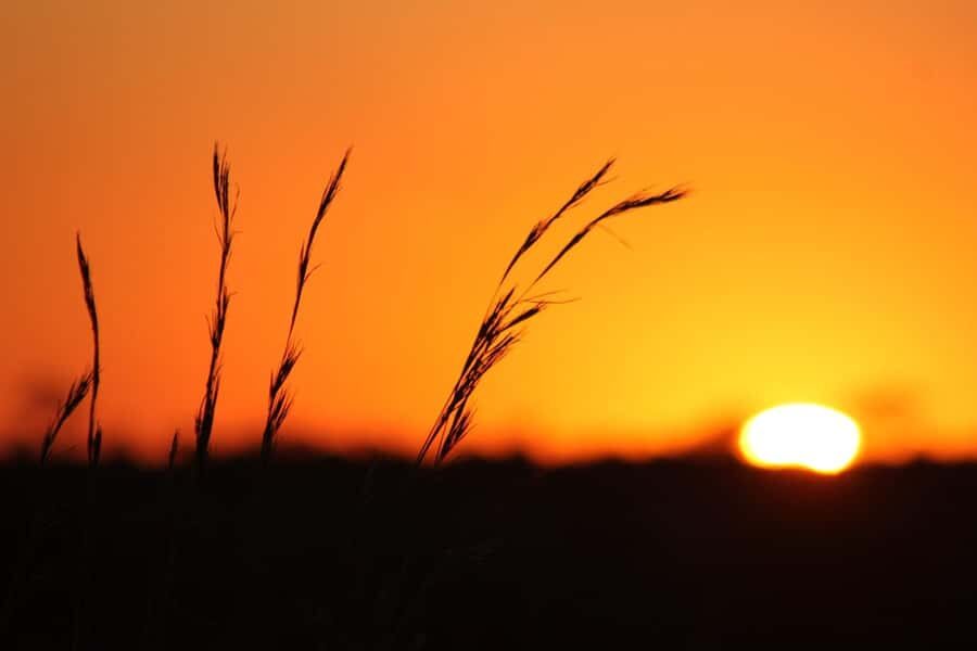 Kruger National Park - 5 Day Safari Tour - Key Highlights at a Glance