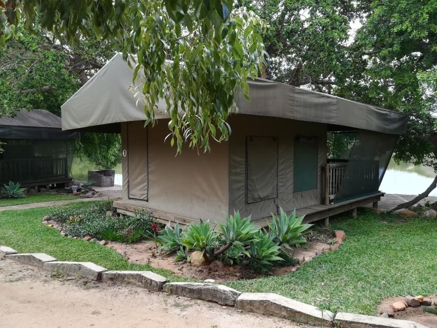 Kruger National Park - 5 Day Safari Tour - Price and Value: Why $1,171 Can Make Sense Here