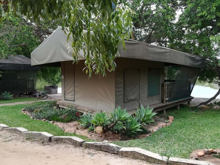 Kruger National Park - 5 Day Safari Tour - Moholoholo Rehabilitation Centre + Blyde River Canyon Boat Cruise: Conservation and Scenery, Together