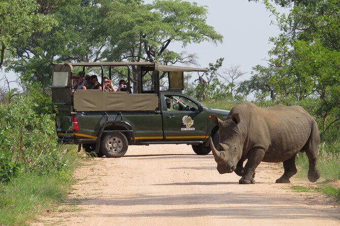 Kruger National Park Afternoon Private safari - Quick Takeaways Before You Go
