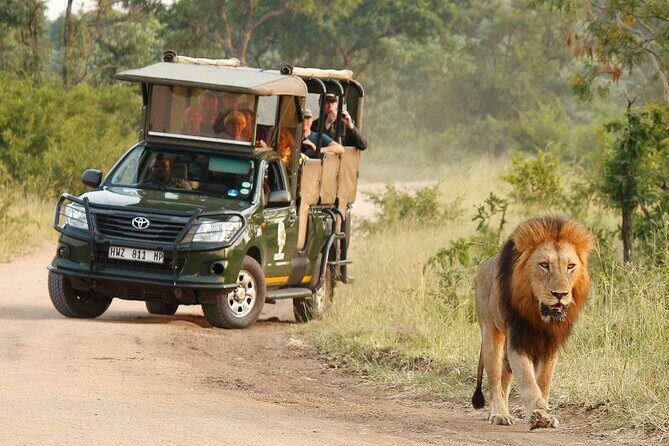 Kruger National Park Afternoon Private safari - Getting to Kruger from Hazyview: pickup that prevents day-one stress