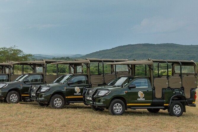 Kruger National Park Afternoon Private safari - Your one main stop: a focused 5-hour game drive in Kruger