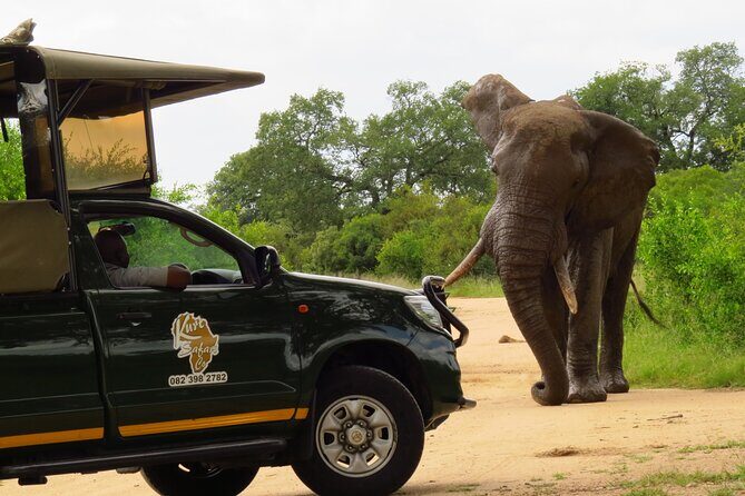 Kruger National Park Afternoon Private safari - Weather matters more than you think