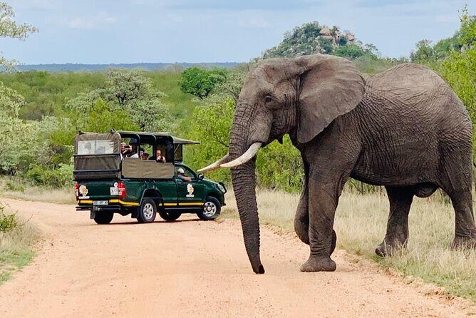 Kruger National Park Afternoon Private safari - The private vehicle (up to 10): comfort and control in the bush