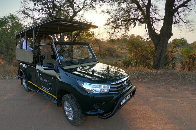 Kruger National Park Afternoon Sunset Safari Tour - Starting at 12:30 pm: the timing that balances heat and game