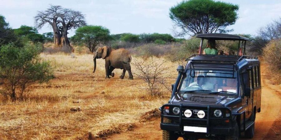 Kruger National Park & Blyde River Canyon 4 Day Safari - Quick hits before you go