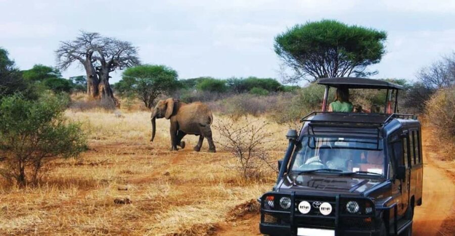 Kruger National Park & Blyde River Canyon 4 Day Safari - What the guides do (and what you should verify)