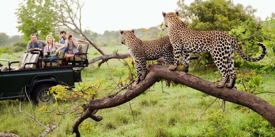 Kruger National Park & Blyde River Canyon 4 Day Safari - Sunset safari tip: cold gear matters more than you think
