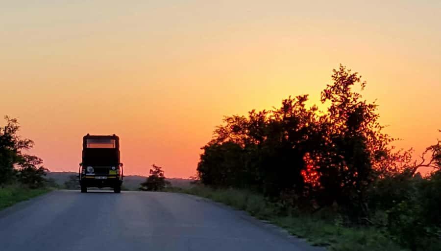 Kruger National Park: Full-Day Private Safari With Pickup - Pickup from Hazyview and park gates: fewer delays, more time inside