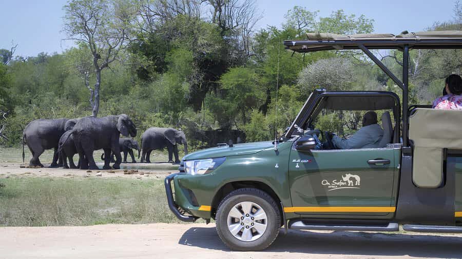 Kruger National Park Game Drive (Half-Day PM) - An Open-Vehicle Kruger Drive Is About Seeing Faster