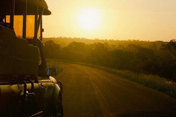 Kruger National Park Guided Day Tour including Hotel Pick-Up and Drop-Off - Hazyview to Kruger in One Shot: Why the Pickup Matters