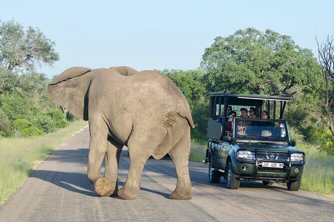 Kruger National Park Guided Day Tour including Hotel Pick-Up and Drop-Off - Included vs Not Included: Getting Value From the Price