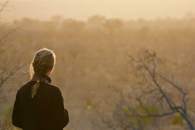 Kruger National Park Guided Day Tour including Hotel Pick-Up and Drop-Off - Inside the Park: What an Open Safari Vehicle Changes